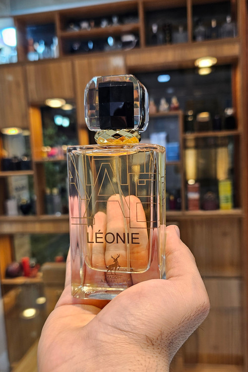 لیبر ایو سن لوران الحمبرا